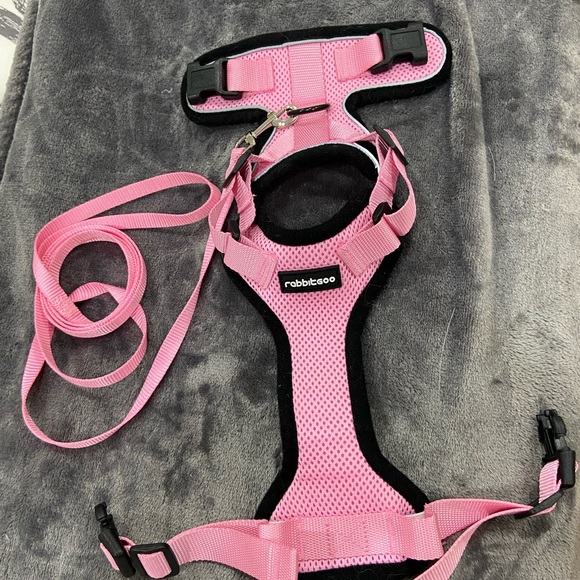 CAT BUNDLE includes:
Cat sign 
Cute sheer cat scarf. 😺
Cat leases
Cat bandanas 5 - Picture 13 of 15